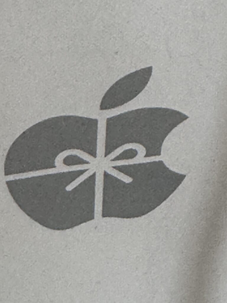 Apple Store bag