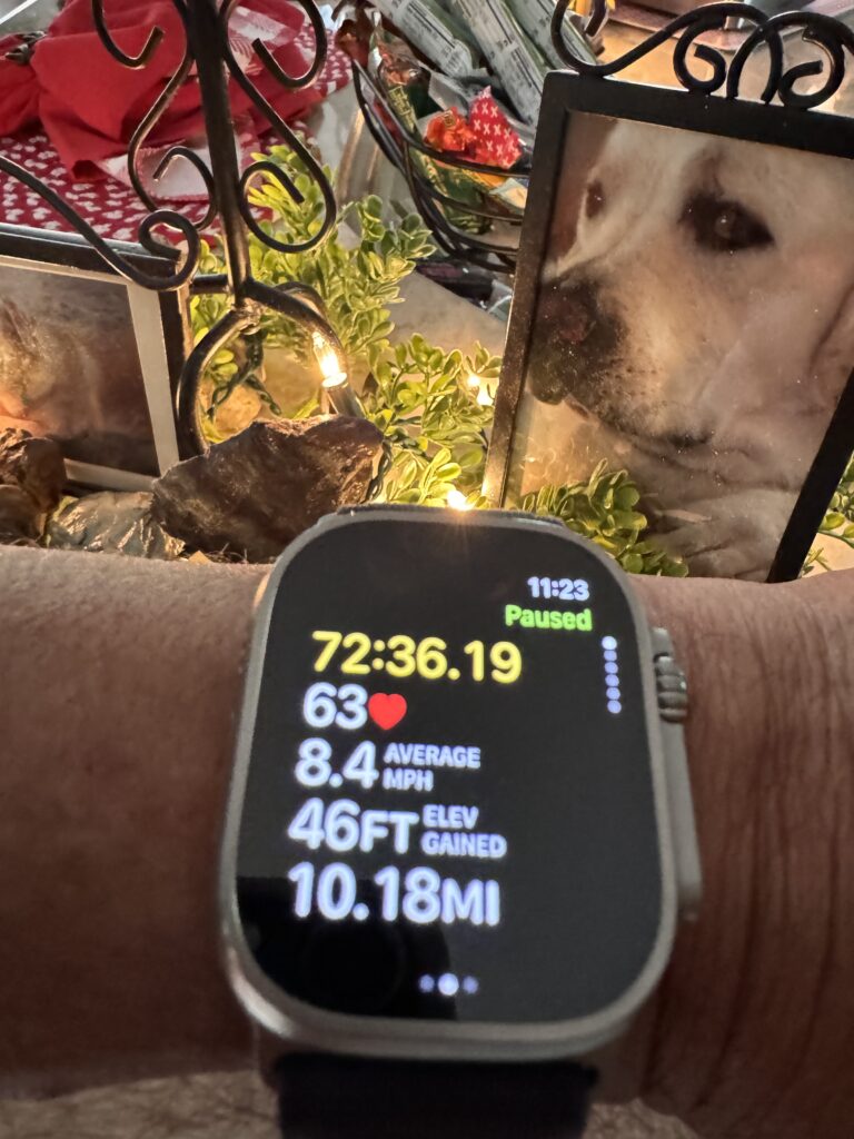 Apple Watch fitness screen