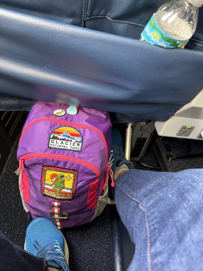 Backpack on airplane seatback