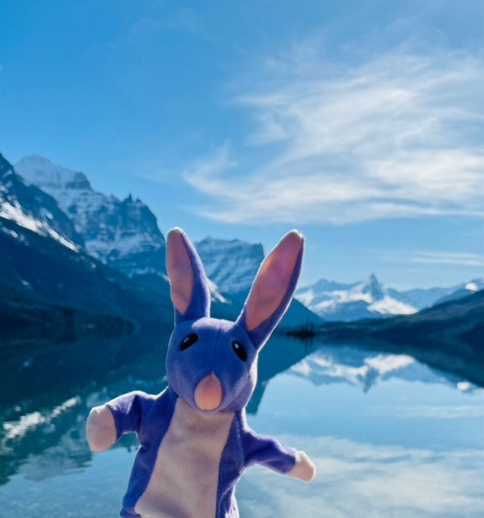 An Australian Bilby plush in mountains 