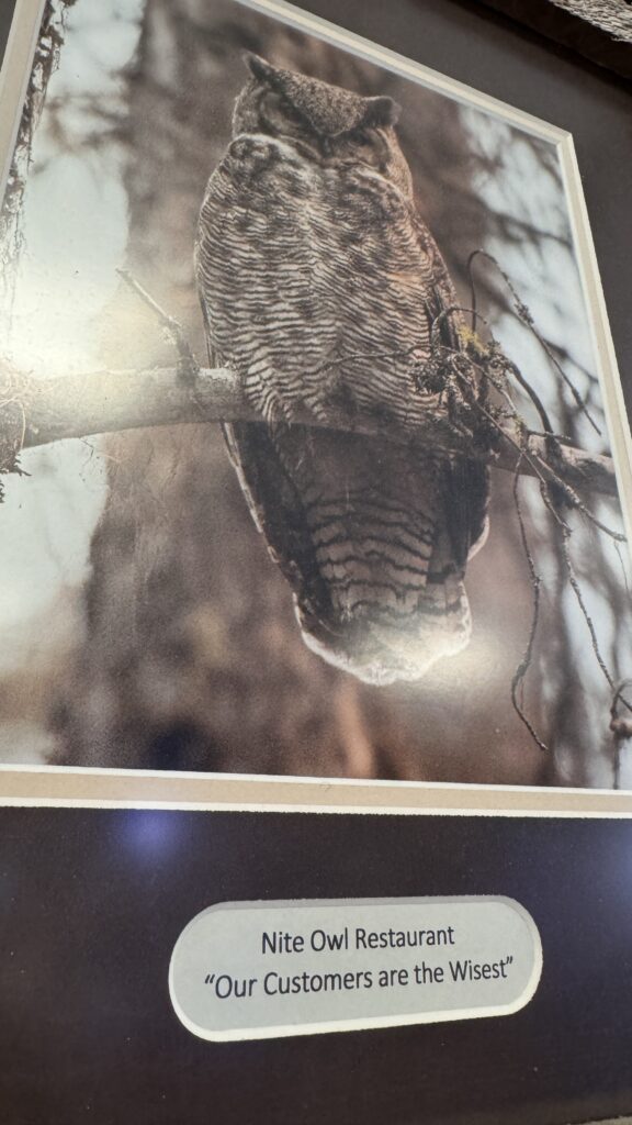 owl photo in picture frame