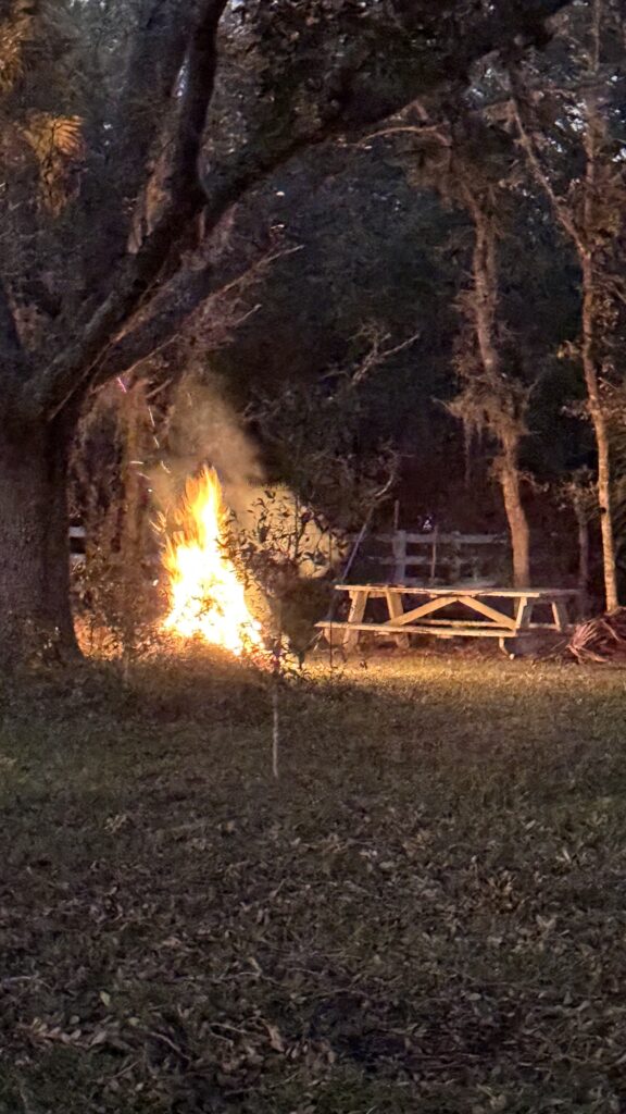 Campfire