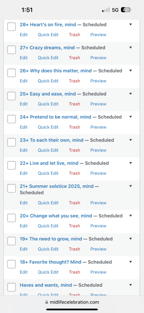 WordPress admin Screenshot