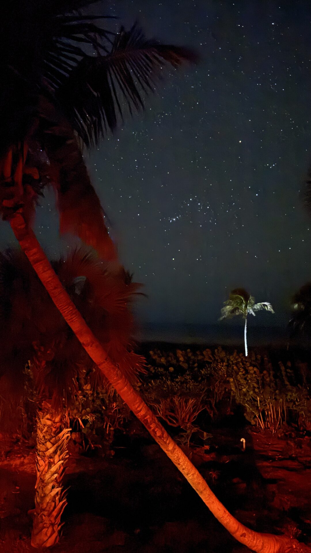 stars at a beach