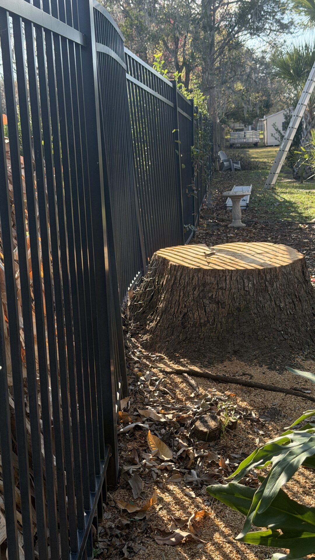 tree stump next to fence