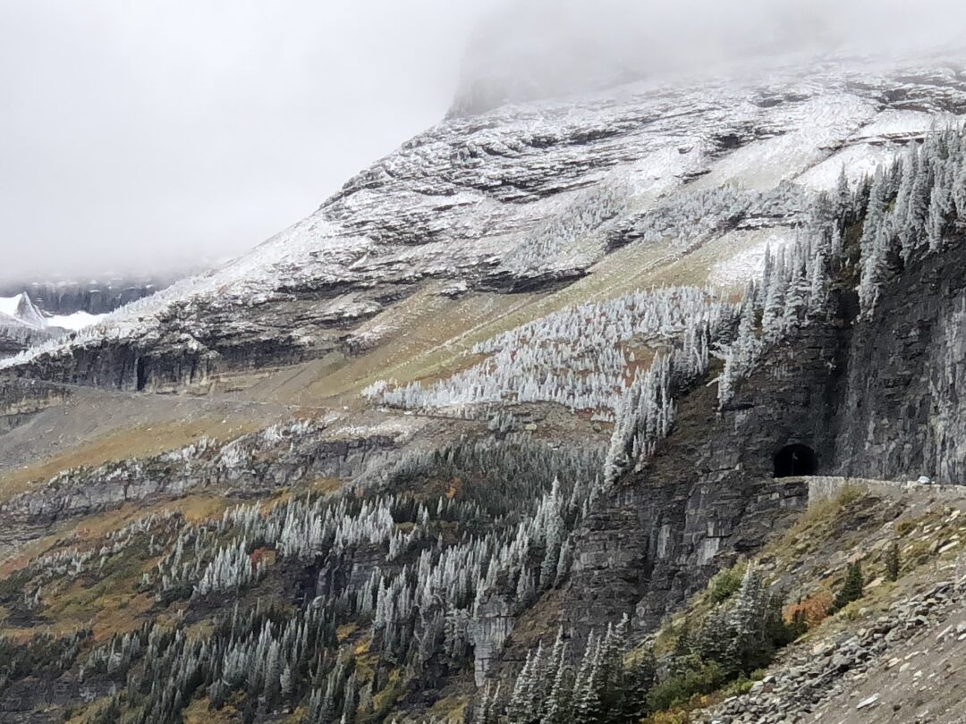 mountain road tunnel tinged in snow