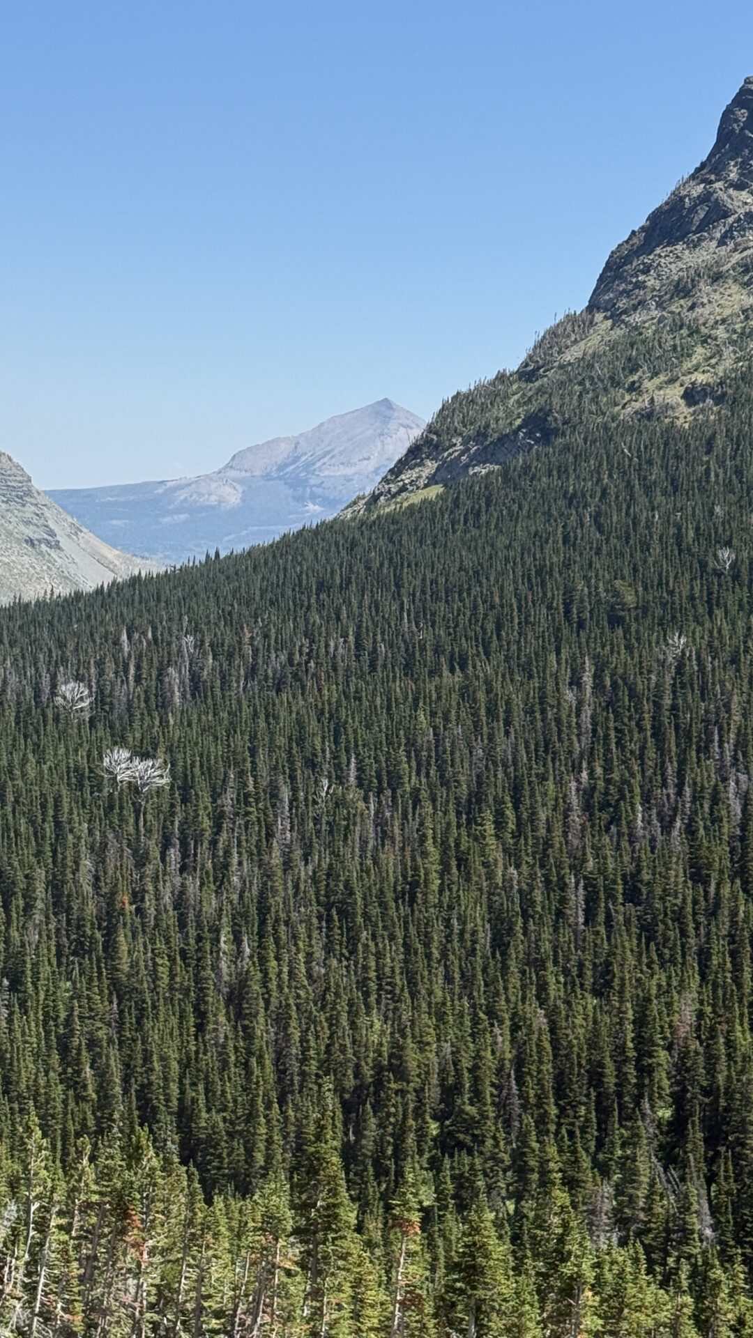 mountain