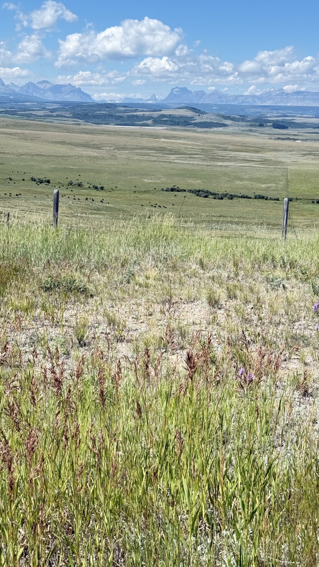 Glacier National Park from Great Plains