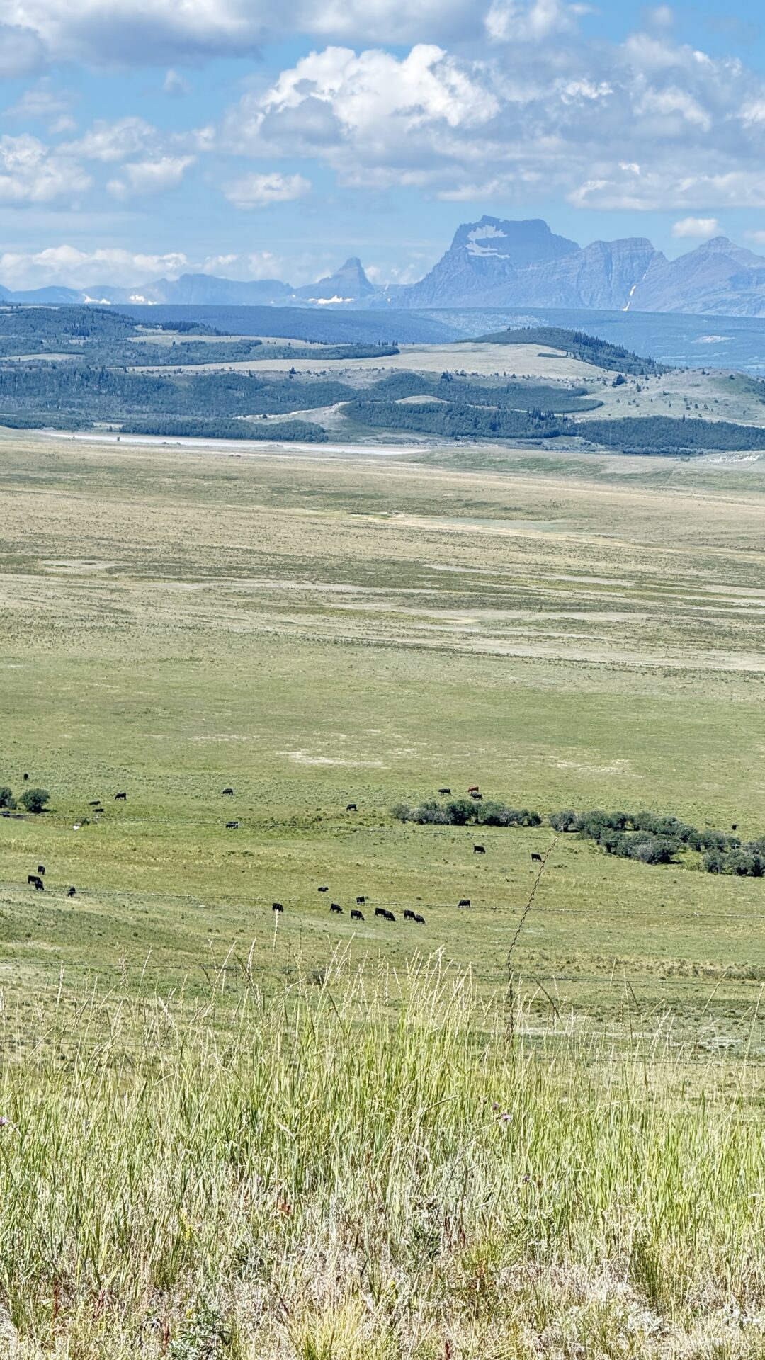 Glacier National Park from Great Plains